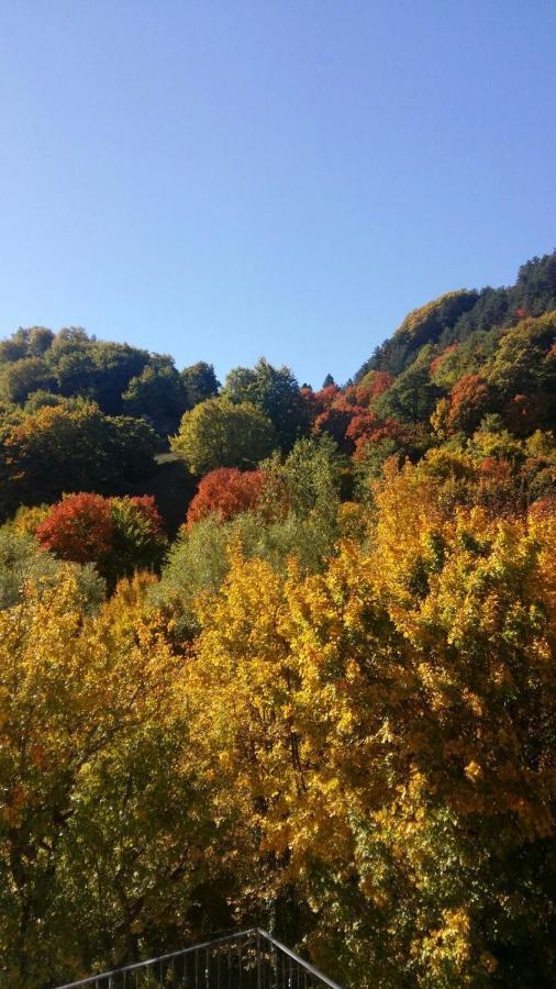 B&B Il Ghiro Roccaraso Dış mekan fotoğraf